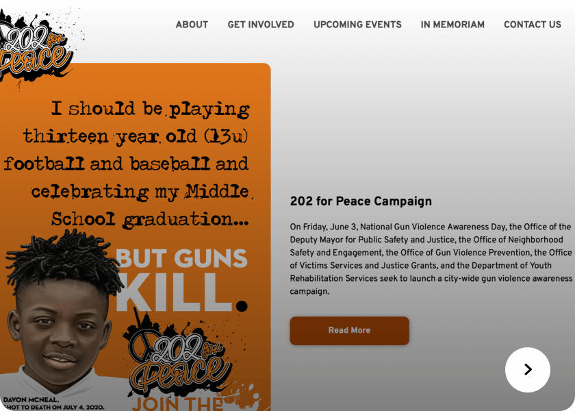 Screenshot of the 202 For Peace website
