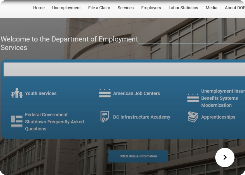 Screenshot of  DOES website