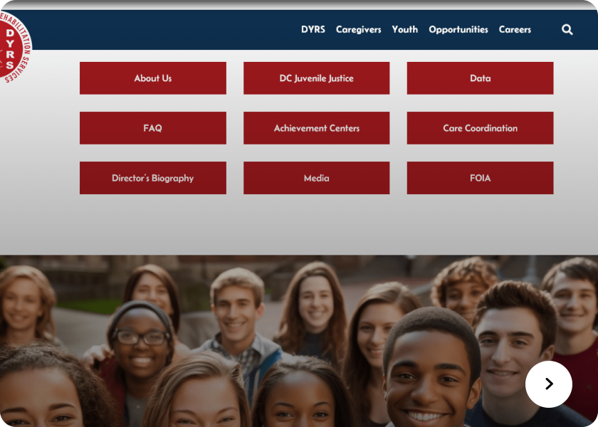 Screenshot of  DYRS website