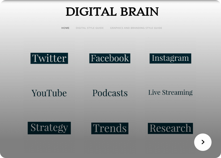 Screenshot of the Digital Brain website