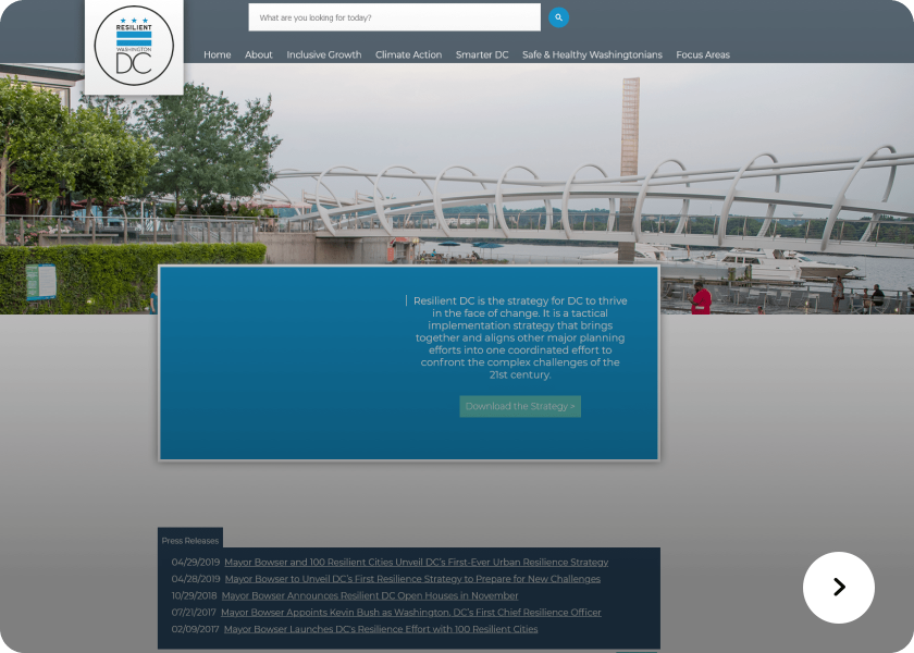 Screenshot of resilient website